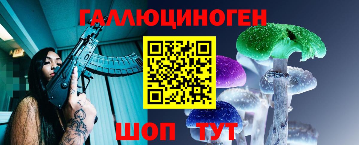 Галлюциногенные грибы Psilocybine cubensis Нижневартовск